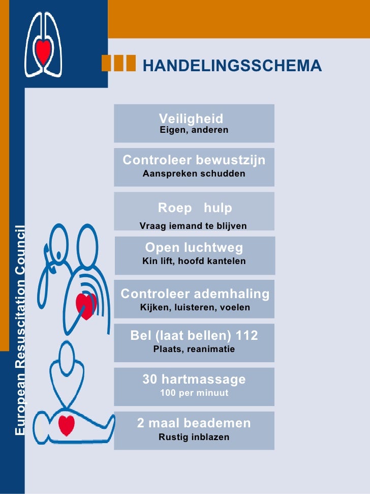 reanimatie volwassene schema